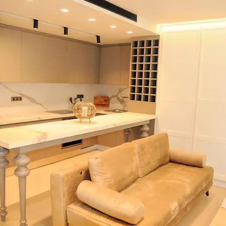 Apartment Luxurious In Acropolis