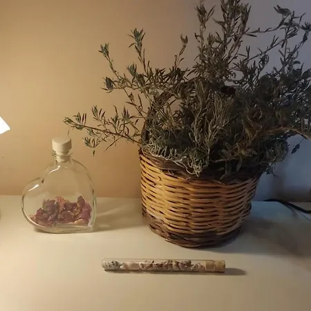 Apartment Polyxeni *