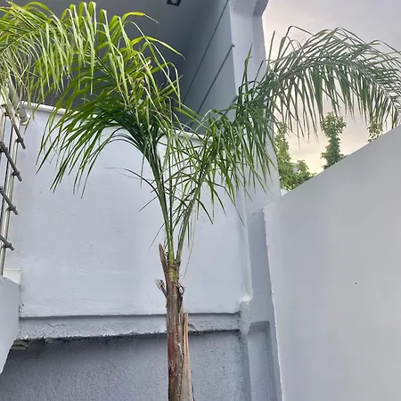 Gardenista In Gerakas Apartment *