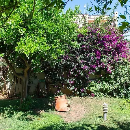 The Place In Voula For 4 * Athens