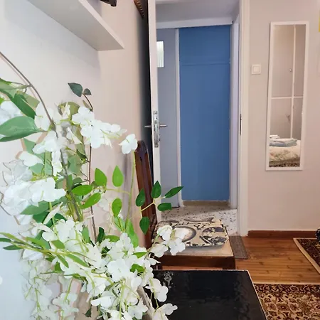 Smart Cozy In Athens! Apartment