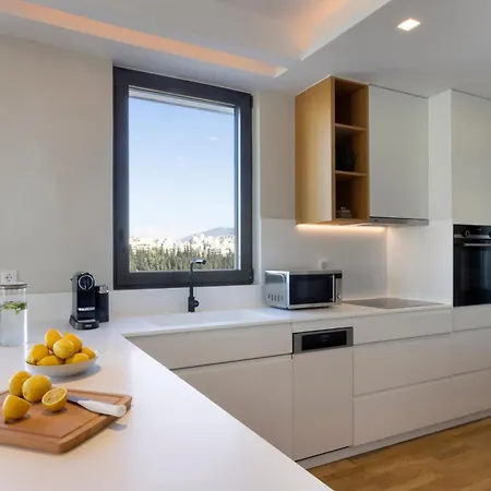 Apartment Elegant Penthouse Acropolis View