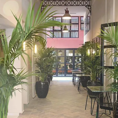 Anise, Aluma & Hotel Athènes