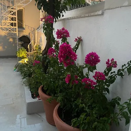 Apartment Alexandra Athens
