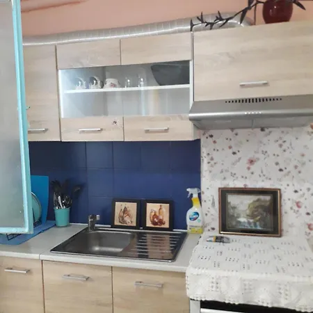 Greekhouse Aris Mado Zoe *