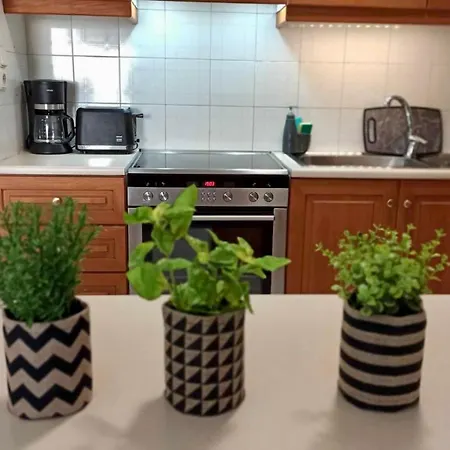 Modern Flat In Athens, Close To Centre And Beaches * Athens
