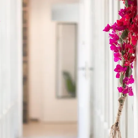 Apartment Center Boho *