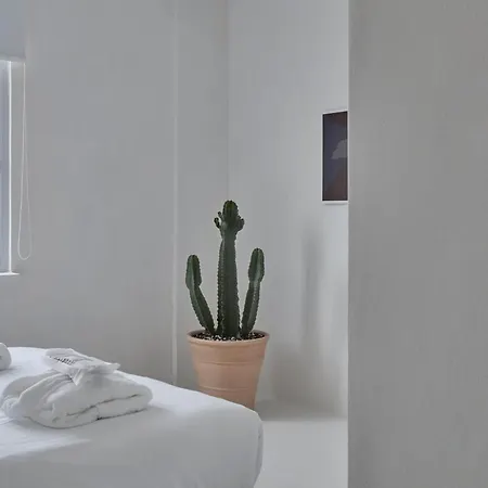 Penthouse Boutique - Acropolis Lycabettus View אתונה