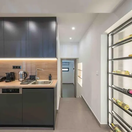 Apartment Stylish Loft In