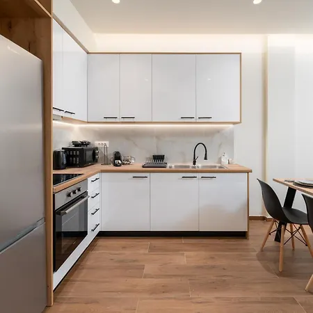Apartment Vitsas House By Greece Athens