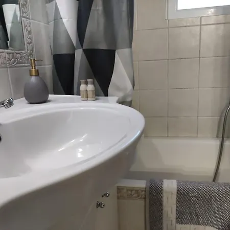 Apartment Penthouse Near Center