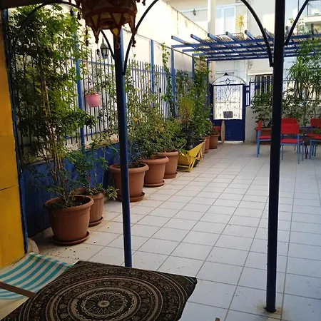 The Filopappou Hive * Athens
