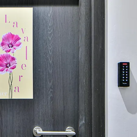 Flowers Of Apartment