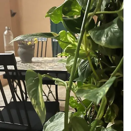 Center Dream 2bd Apartment Athens