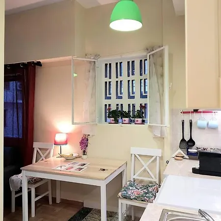 Cozy Bright New