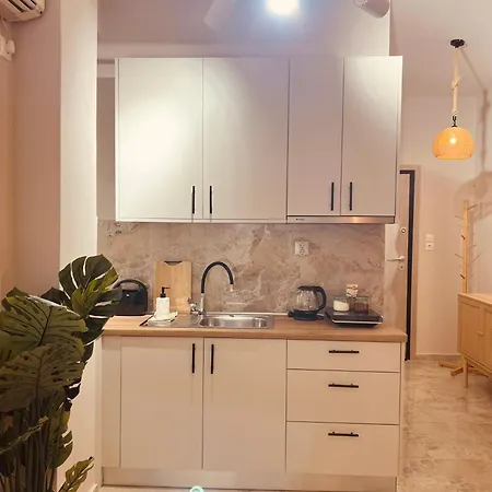 Apartment Cactus Luxury Suite3 Athens