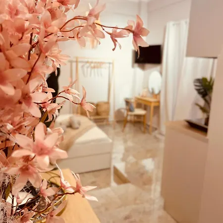 Cactus Luxury Suite3