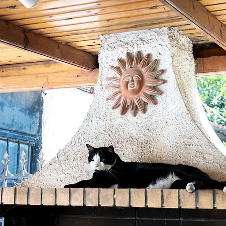 Sun & Sea Escape Charming Vacation In Voula On Athen's Riviera Apartment Athens