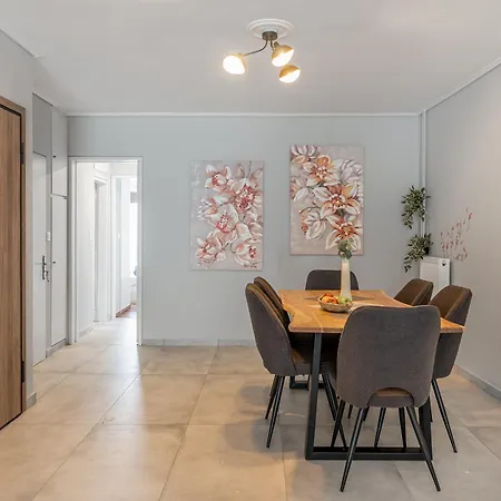 Big Practical Apartment Athens