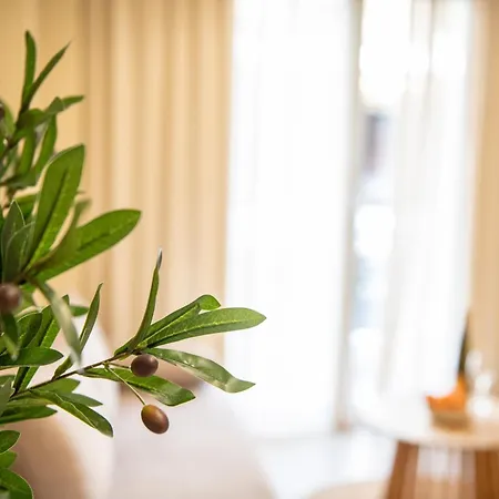 Apartment Avm - Thissio Center