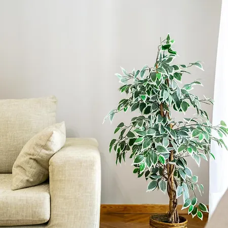 Spacious 2 Bedroom In Kolonaki Apartment Athens