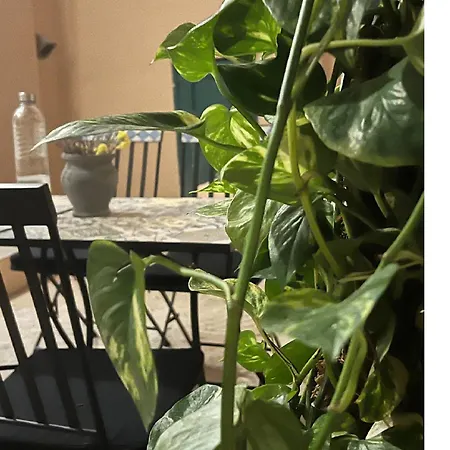 Center Dream 2bd Athens