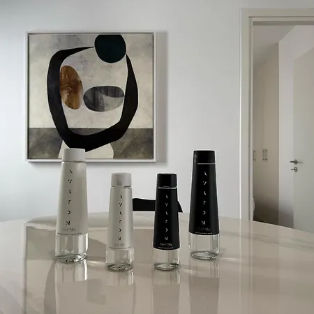 Th0 Futuristic Luxury Two Bedrooms With High-tech Amenities Apartment *