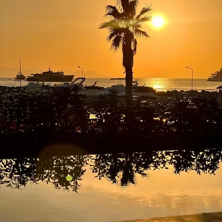 Apartment Vip Beachfront Pool & Sunsets