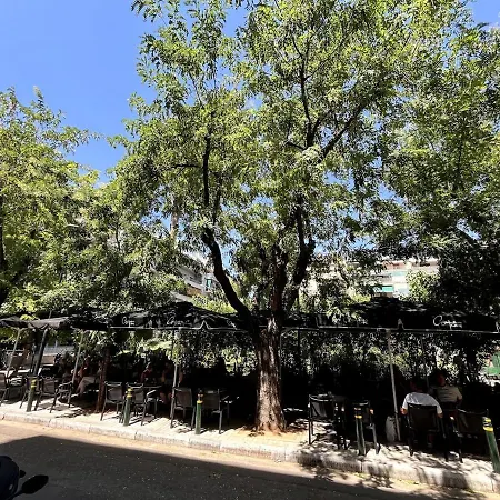 Apartment Lovely, Brand New, , Modern Appt - Axelle Place *