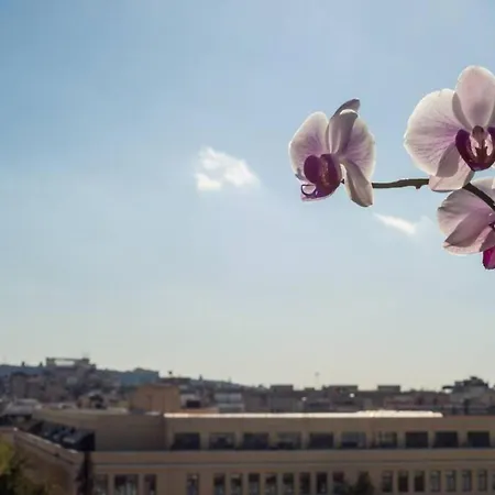 Unique 100m2 Penthouse With Breathtaking Cityview Apartment *