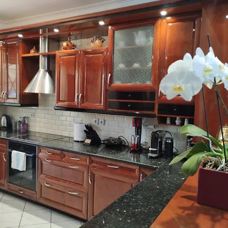 Emilia And Nikos Marousi Apartment Athens