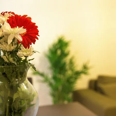 Apartment Peaceful Renovated Near Lycabettus Hill *
