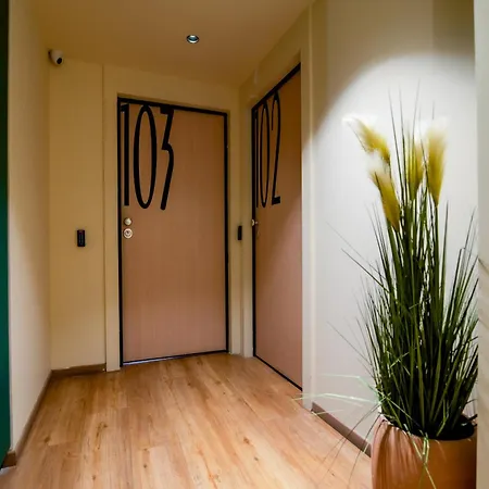 Apartament Still Atena