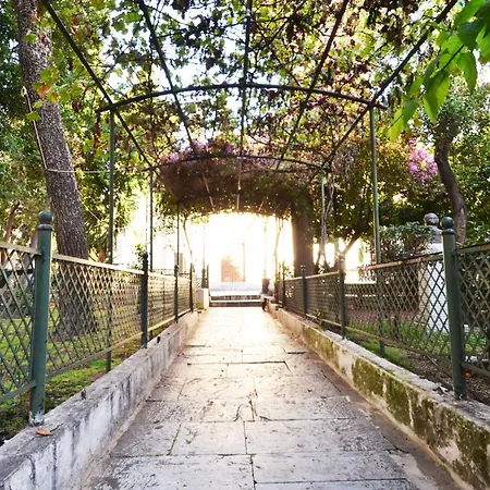 Plaka, In The Old Historical Neighborhood Of *