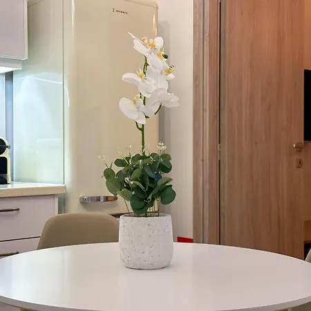 Apartment Modern Temple Of Athina 1 & 2