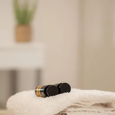The Acropolis Erenest Apartment *