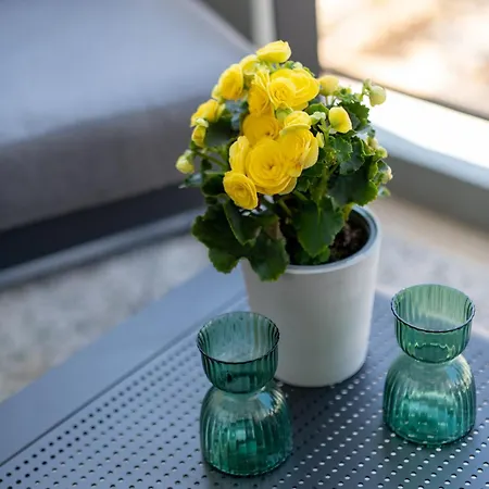 Apartment Aelia-smart Flat Athens