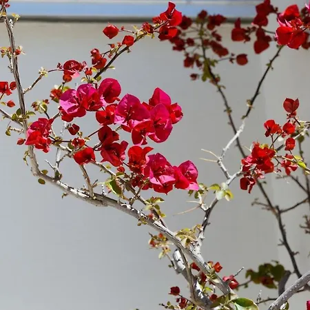 아파트 Sunny Penthouse For Balcony Lovers