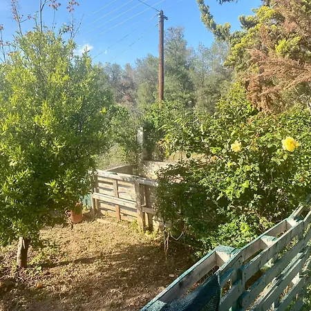 Holiday home 20 Mins From Centre, Rural House *