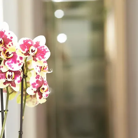 Prestige Penthouse - Breathtaking Parthenon Views In Plaka * Atenas