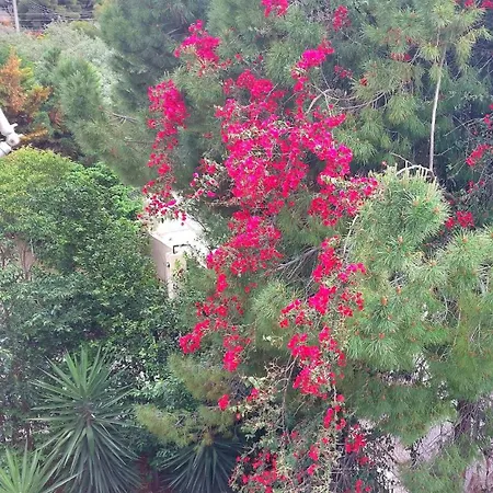 Vouliagmeni Floor Maisonette Appartamento