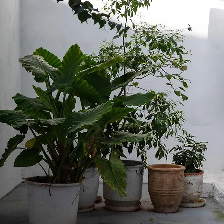 Apartment Thissio Getaway 2ba Next To Ancient Market *