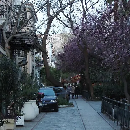 Soho Athene *