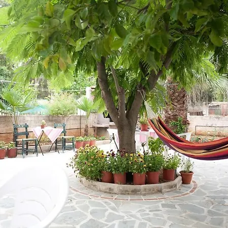Veggie Garden Atene