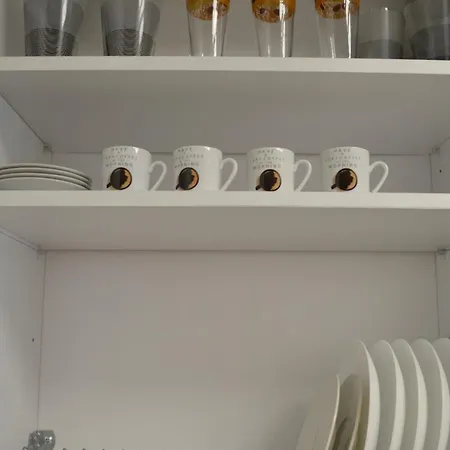 Nest Apartment