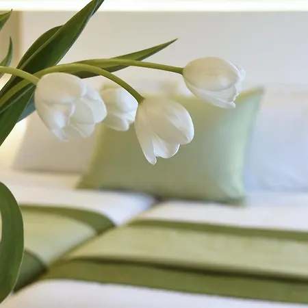 Avenue Hotel 4*