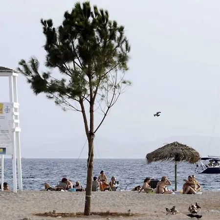 Palmyra Hotel Atenas