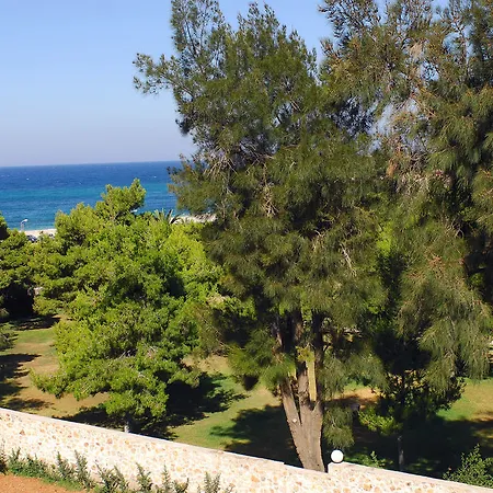 Palmyra Atenas