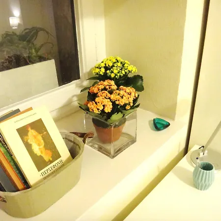 Kolonaki Cozy Apartment