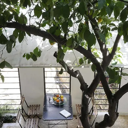 Athens Green Apartments Apartment